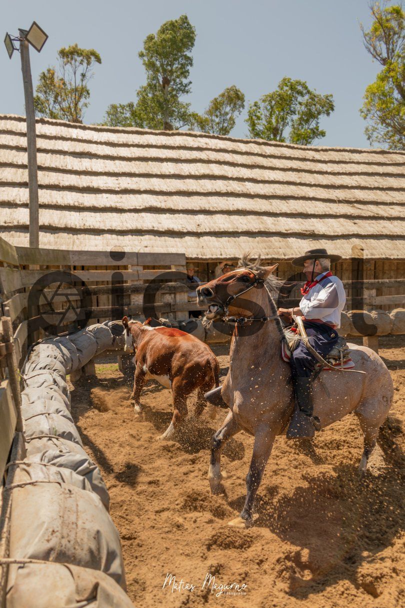 Photo of igz77ly3hvp4m4e2ph02y4hj