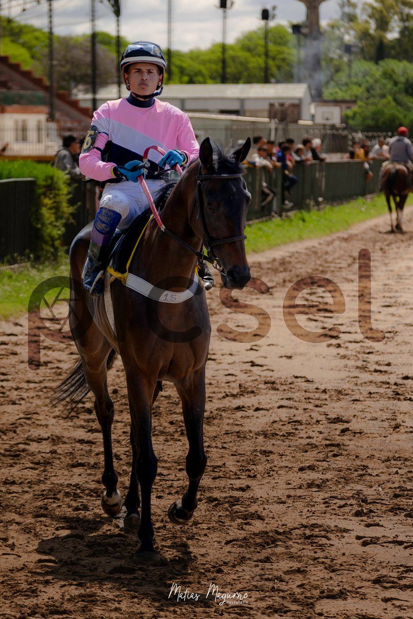 Photo of p19pgce9t8os93a1ynf8kirn