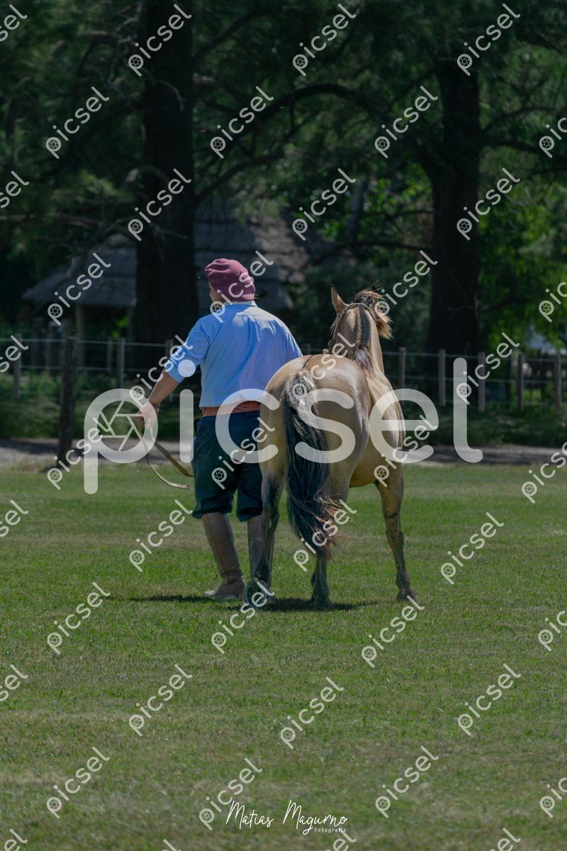 Photo of c6ngvbkutp24438nvb2wj0op