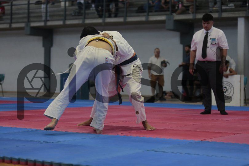 Photo of y010h4oi25lr2n2pksyc21uu