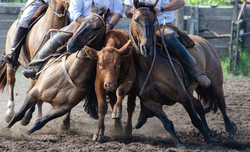 Rodeo Yuntas 1 a 8 Sábado Trenque Lauquen