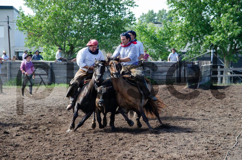 Photo of czw75ofnxqdgktdqek5g26ov