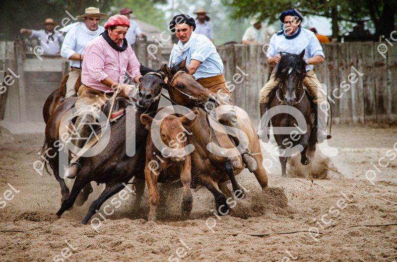 Photo of ru17j2d21rbvoyujxypgyz6p