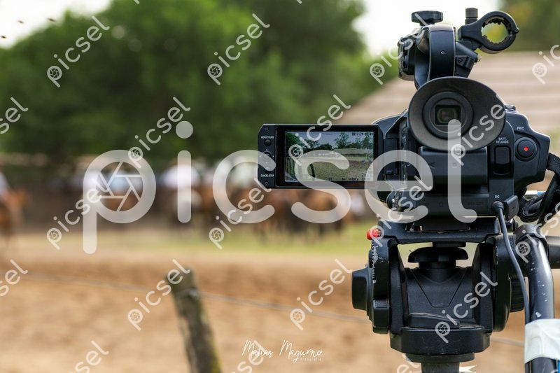 Photo of x2m5kjoch010g9p9dckpa1ee