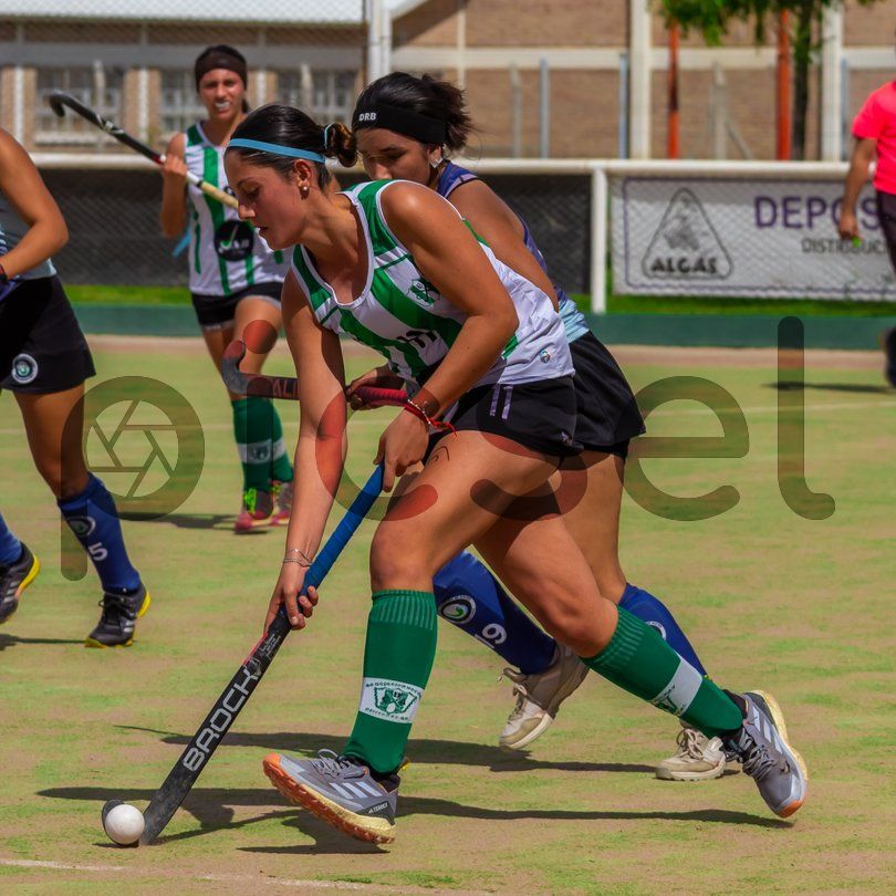 Photo of bgj96zz13u5t05tmehkdvh5p