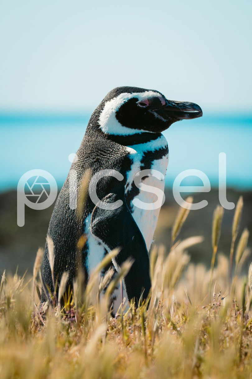Photo of u4coe2x22w0sfz20w679sisq