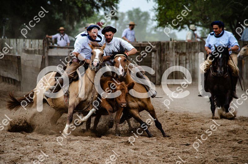 Photo of svmwrgvfkxp0qabi0za6bcuu