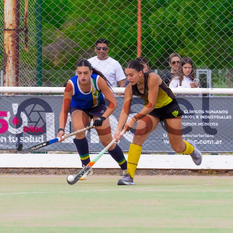 Photo of n0ge91hiy2l292aw577glvs6