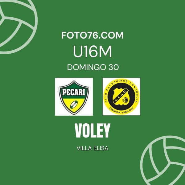 Partido 2