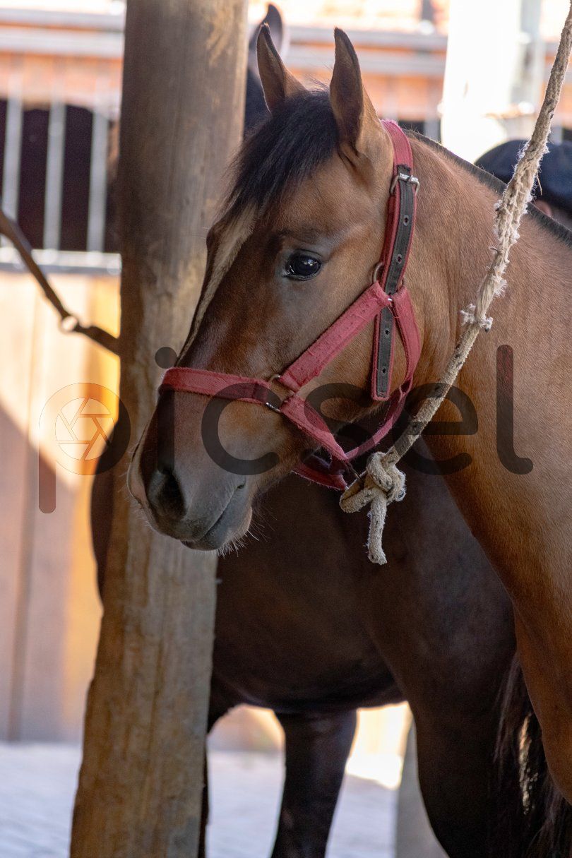 Photo of gdi2amcsl96mk7bt1mq68zsj