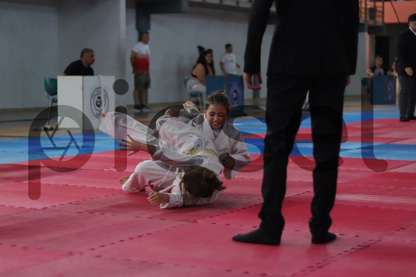 Photo of q46ujkkqwsgz0s87qj7xzsqo