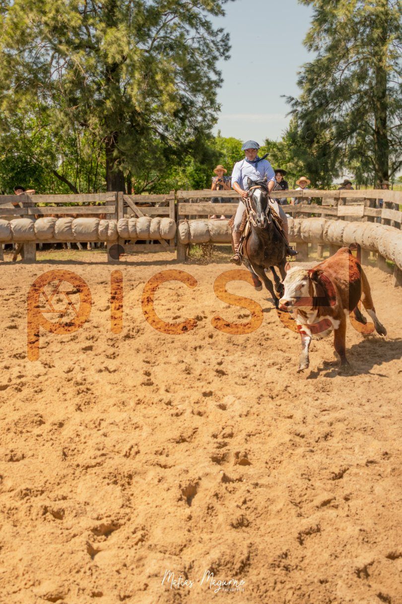 Photo of u87mmnvszjtn2u1e6dyk5f0d