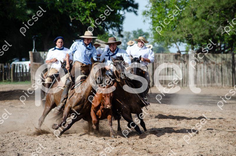 Photo of azbi57aqlgum7o3j6zdo3t7q