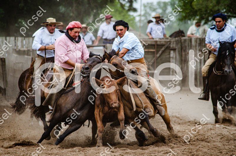 Photo of r6q7tynw88mdvard7cyt8q0f