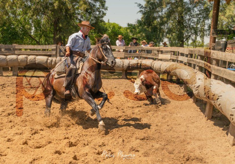 Photo of k0b16z0g2pd1etd9padtv397