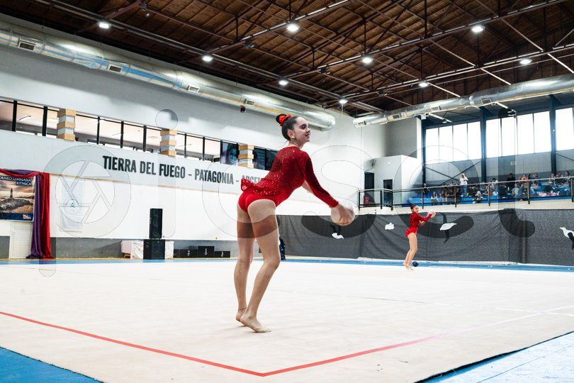 Photo of ks5t7tsbp47o1cran62qqrjo