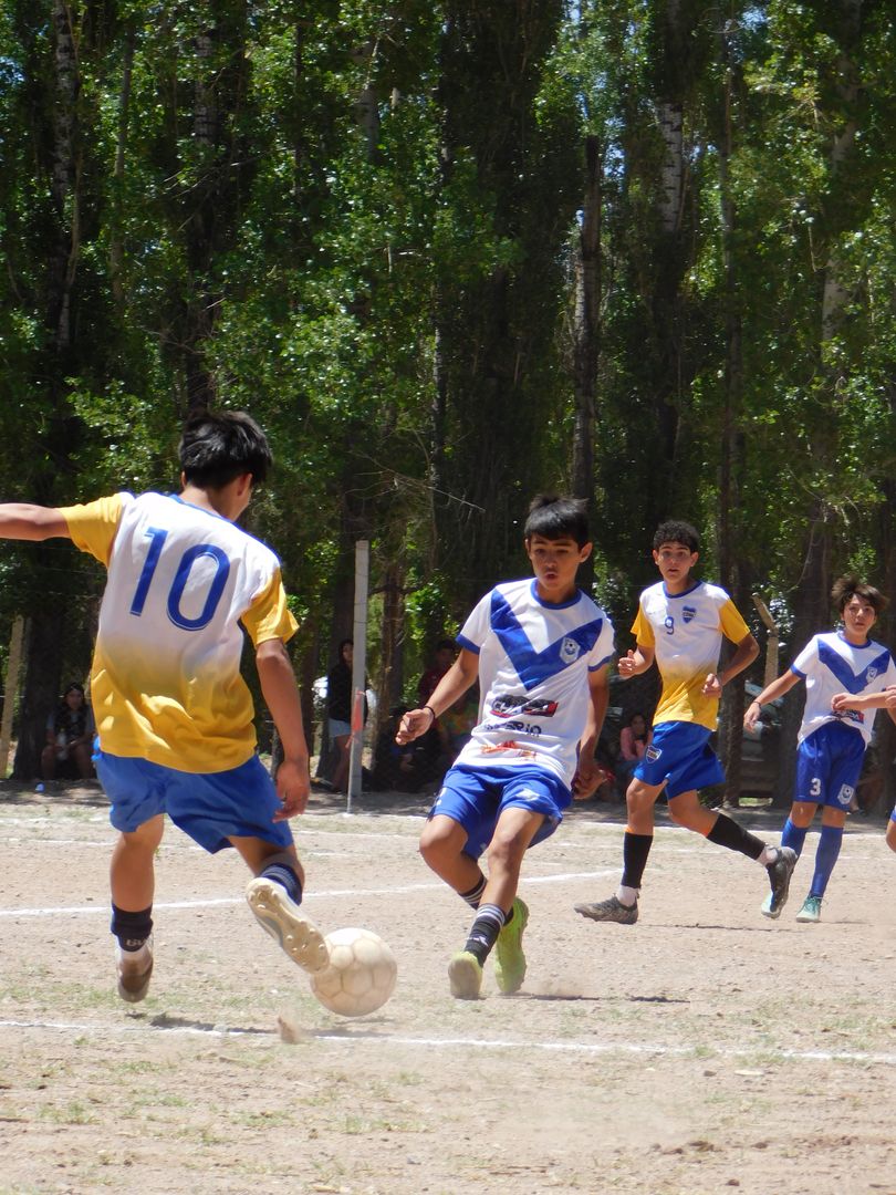 7ma deportivo-vialidad