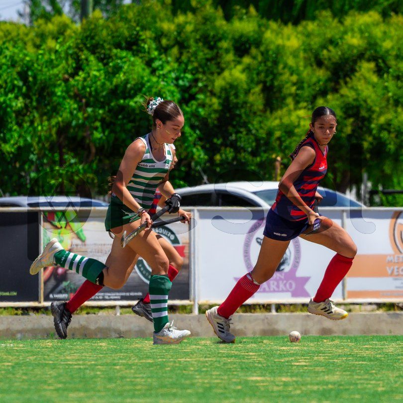 Photo of qwhknkg508z1wpgmv05q5q13