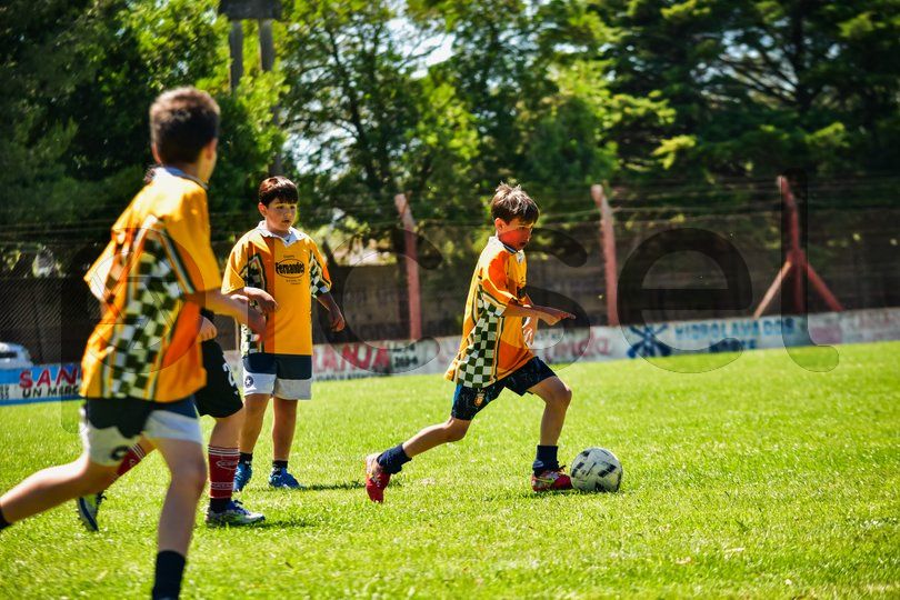 Photo of pigr1im1ctwglb9qai92smml