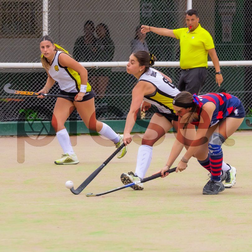 Photo of f6fj0j9ewyswokzqgm882kbi