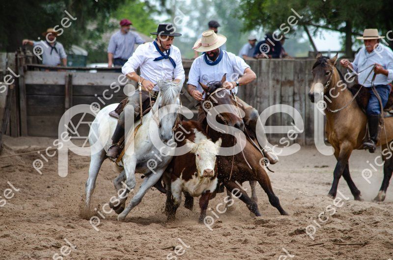 Photo of b2aj17t8ck3agpt5b4t440b0