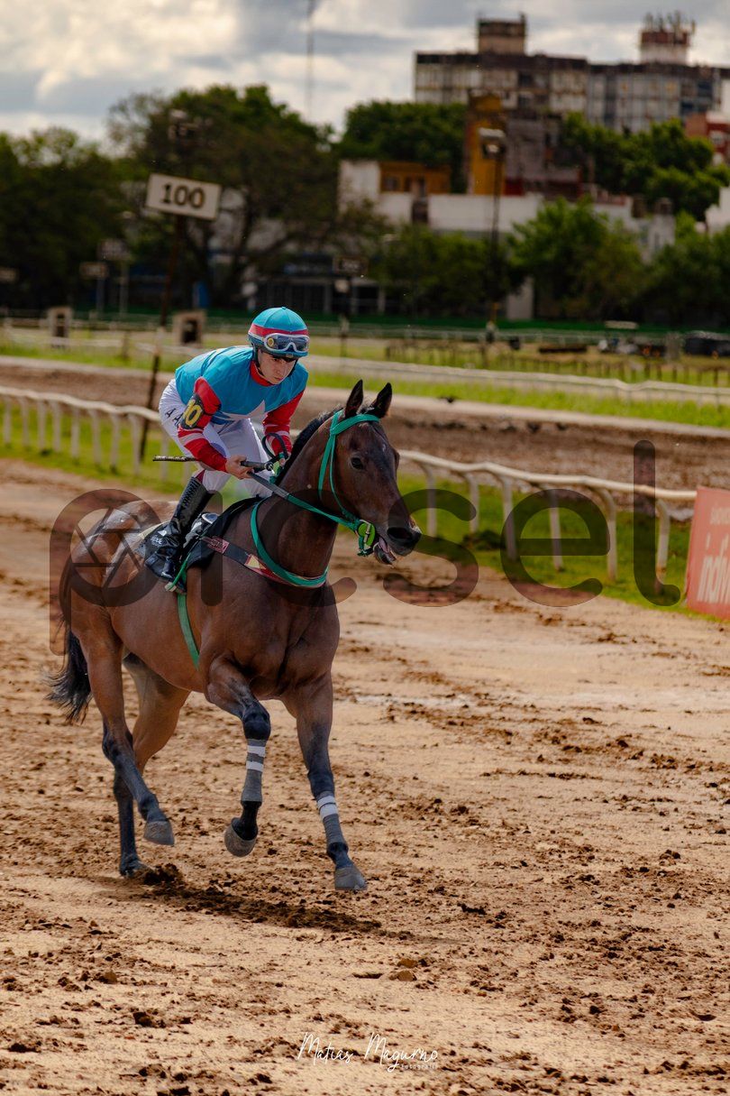 Photo of dgxl6bqr447830cpu6wf0l8j