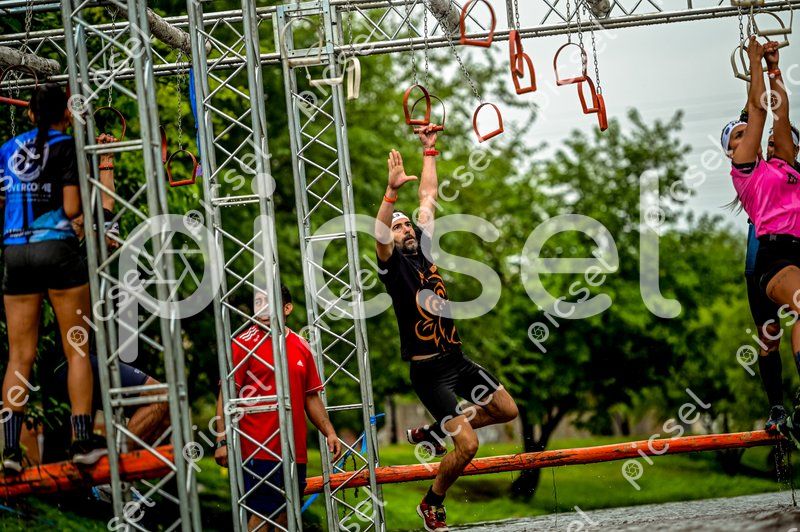 Photo of oxhhvk9sow5kivar68q8oasd