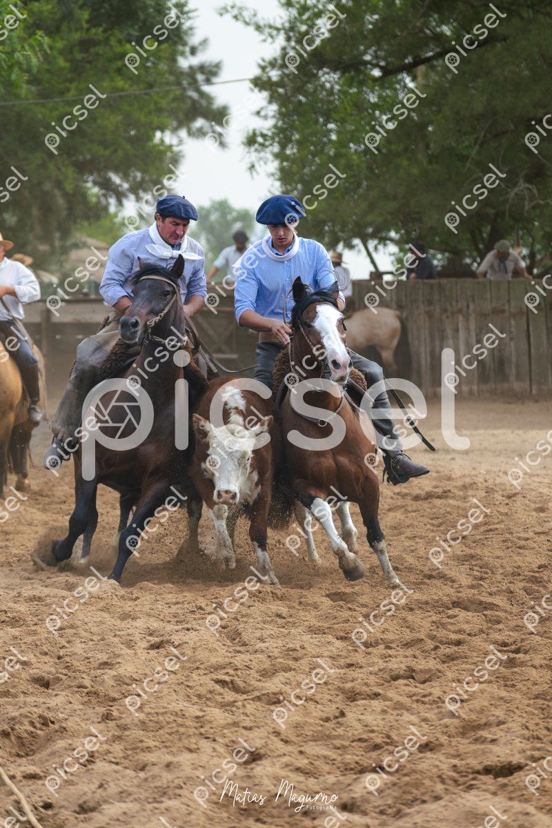 Photo of e7u7g8v4jphs1f7xvixdajgt