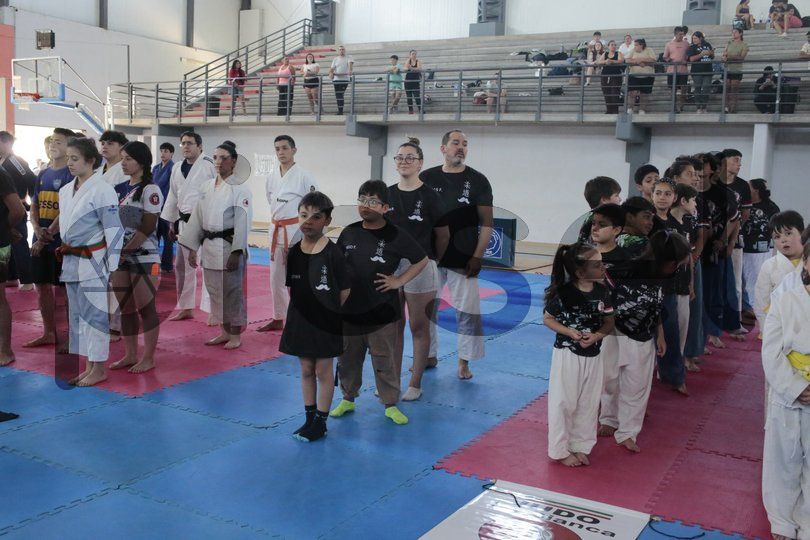 Photo of mlotw1jvyg2sak5r6cmhc9wi