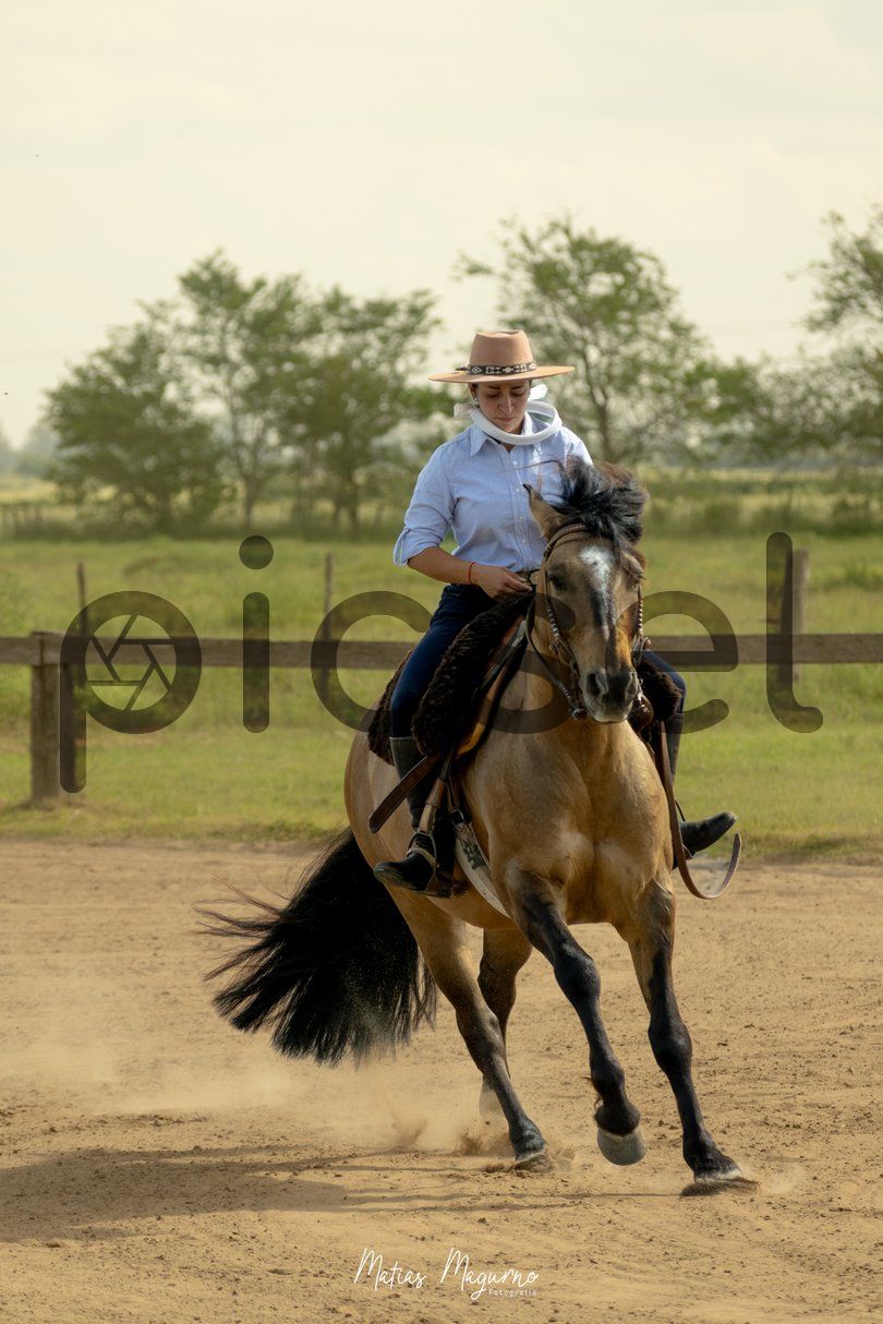 Photo of vj1zz72kd8gs96lx1r0k63zl