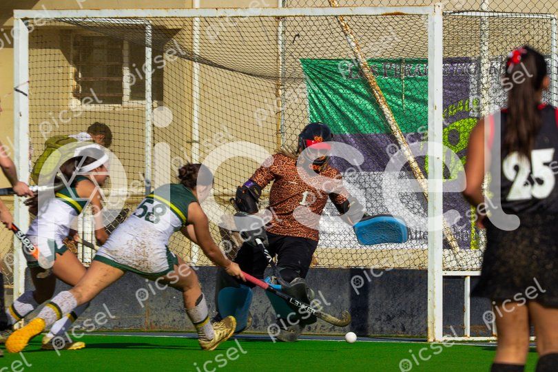 Photo of qq3upv2u6t9d3bw0lt63aien