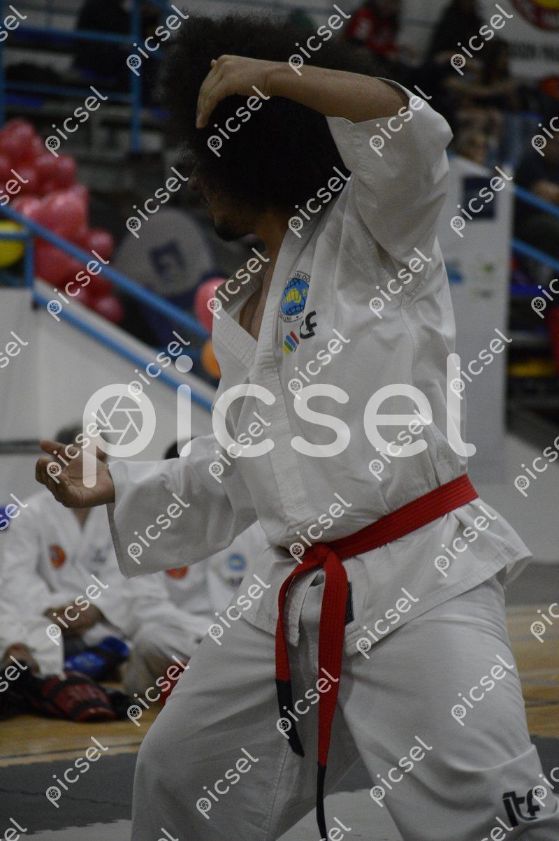 Photo of iiyqhxkyom5xpm7bxj8lna4o