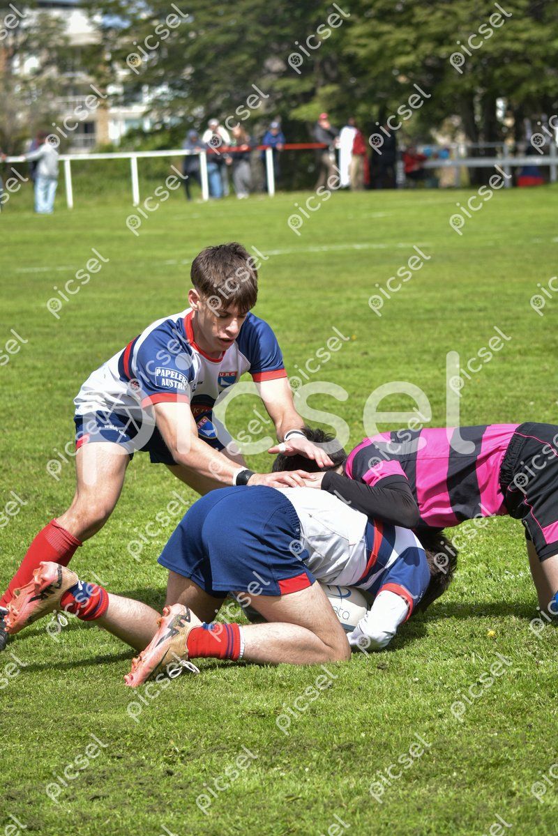 Photo of ldo2f9sudl8rqnxnvm9l4f16