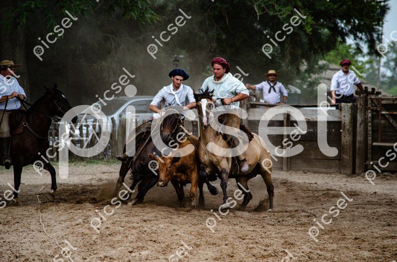 Photo of a8b93t7a1fpddvfevvag0n8o