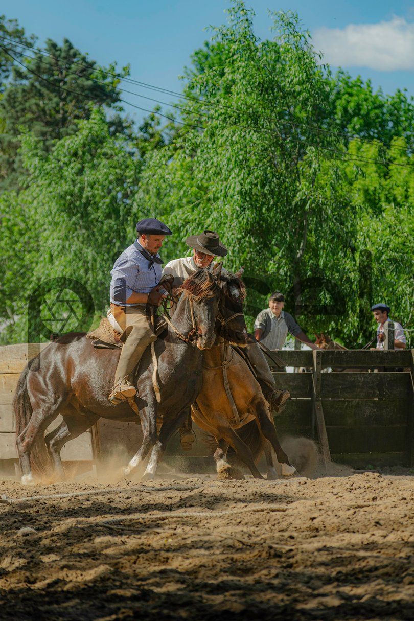 Photo of dhpoxkwjimchbvnblm60ry30