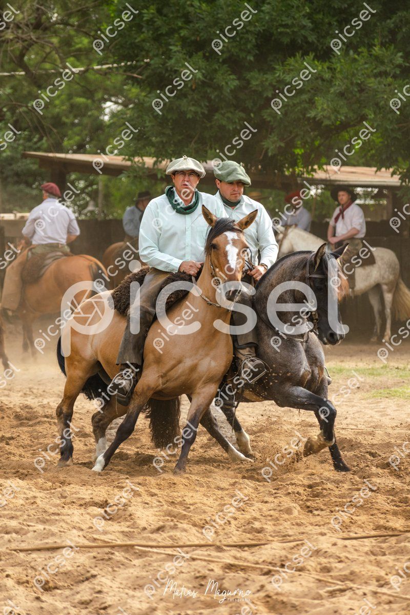 Photo of egs3ccsctko2o5pcbqmvi8qe