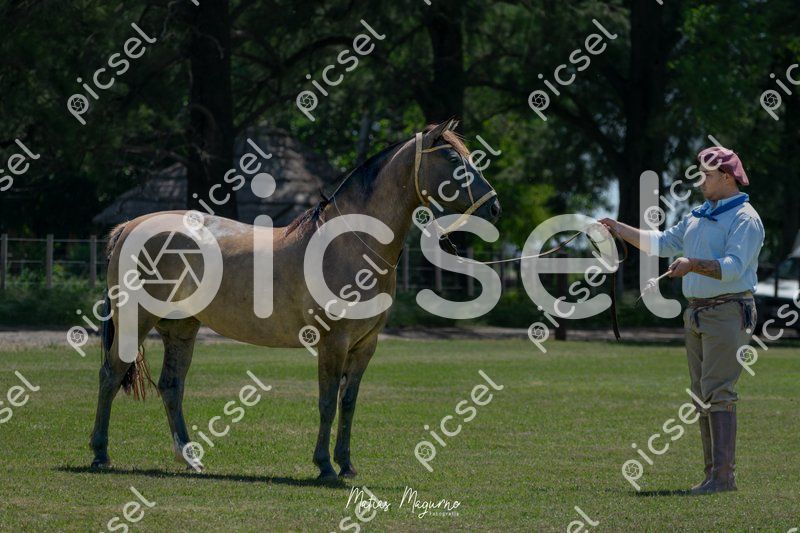 Photo of q3idrpxx504thygi6vt4j3jn