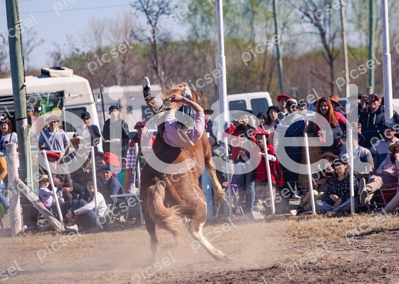 Photo of m8lxe1kc7nngi4xu6u6fprls