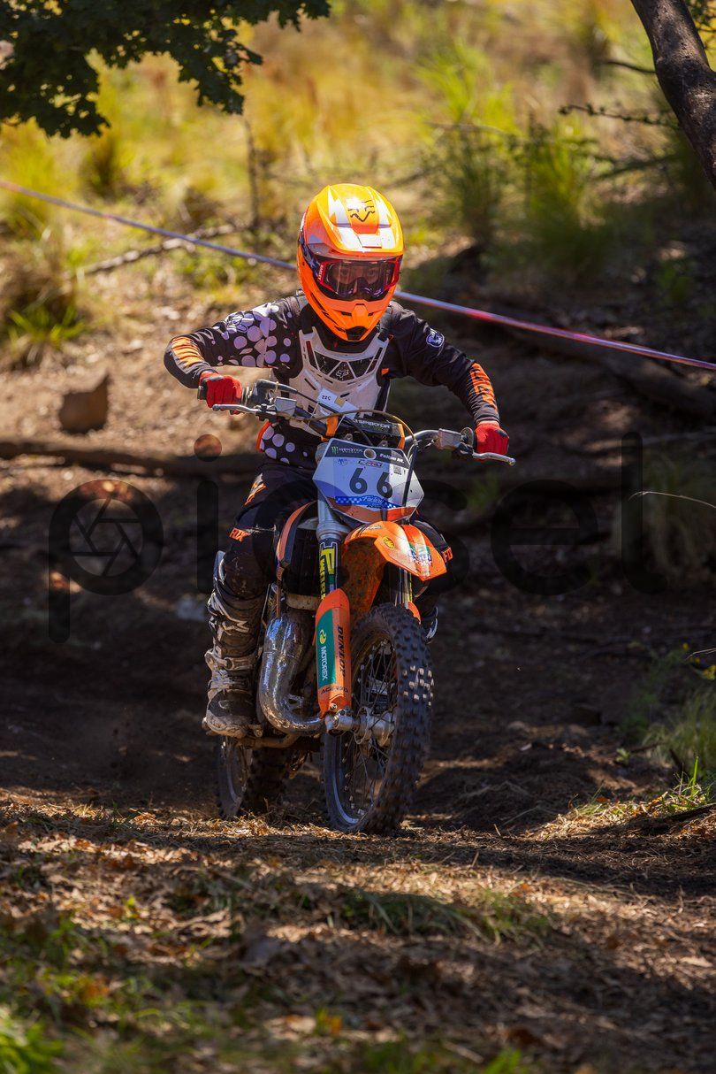 Photo of x9tou248oeywjptqy16ejkf0