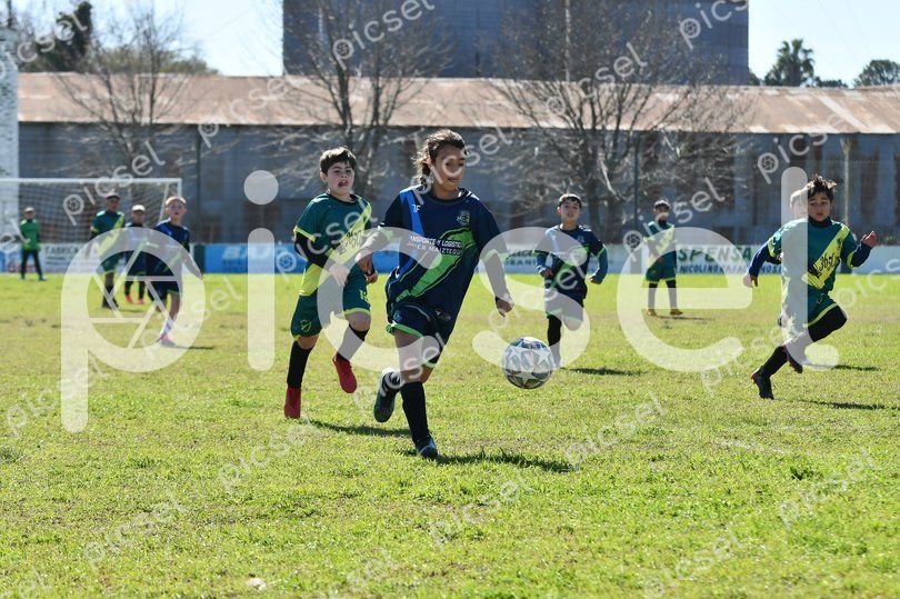 Photo of ztkeunjpevfvrfptz8338lrp