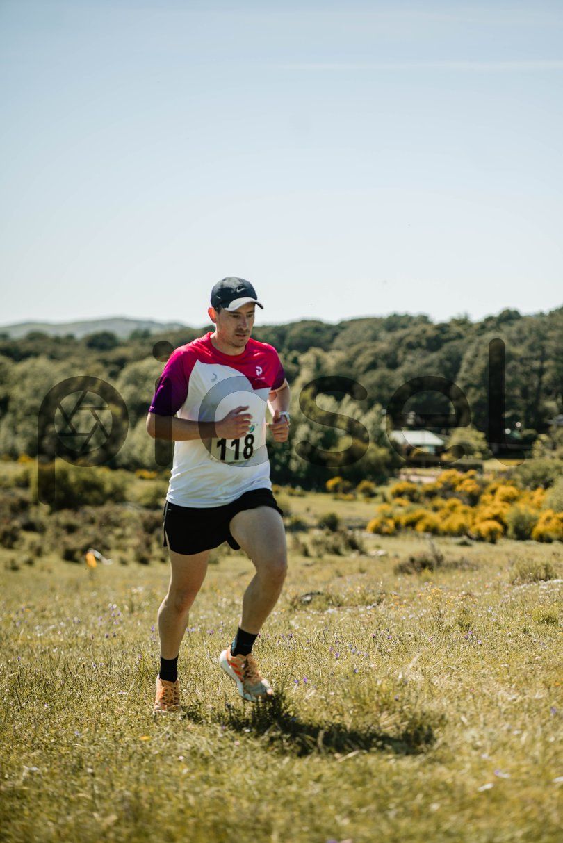 Photo of l8vg2s0fkkvyouj9mbev39bp