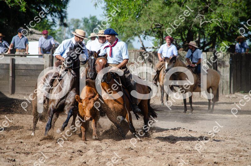 Photo of bcjyjo3hw8h2bhdofi0oof7u