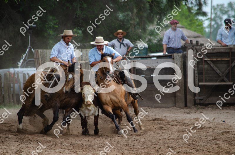 Photo of q7ubjflcyjua2aoin5rzz4zu