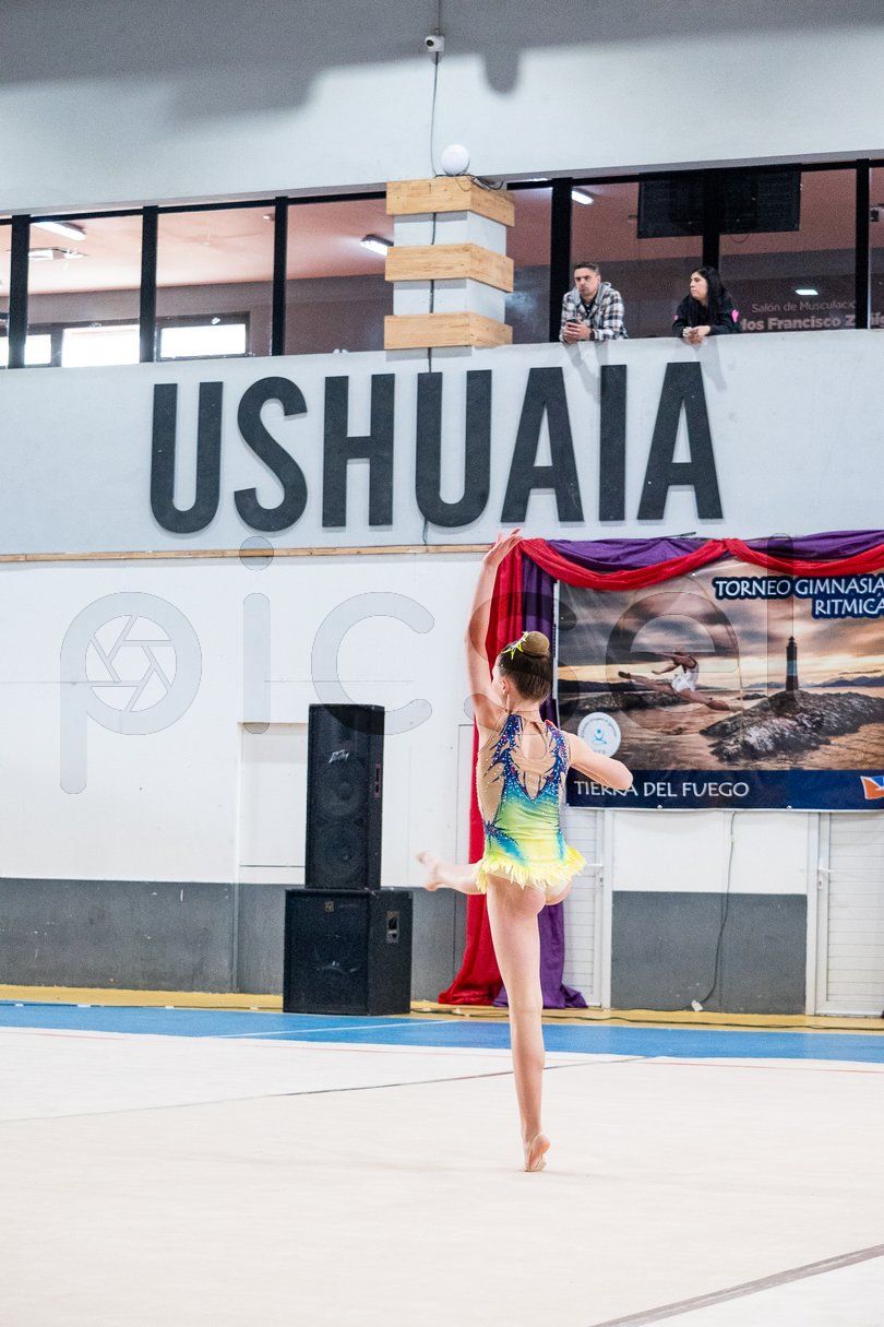 Photo of w4pk178yf61meo7dlei74nxc