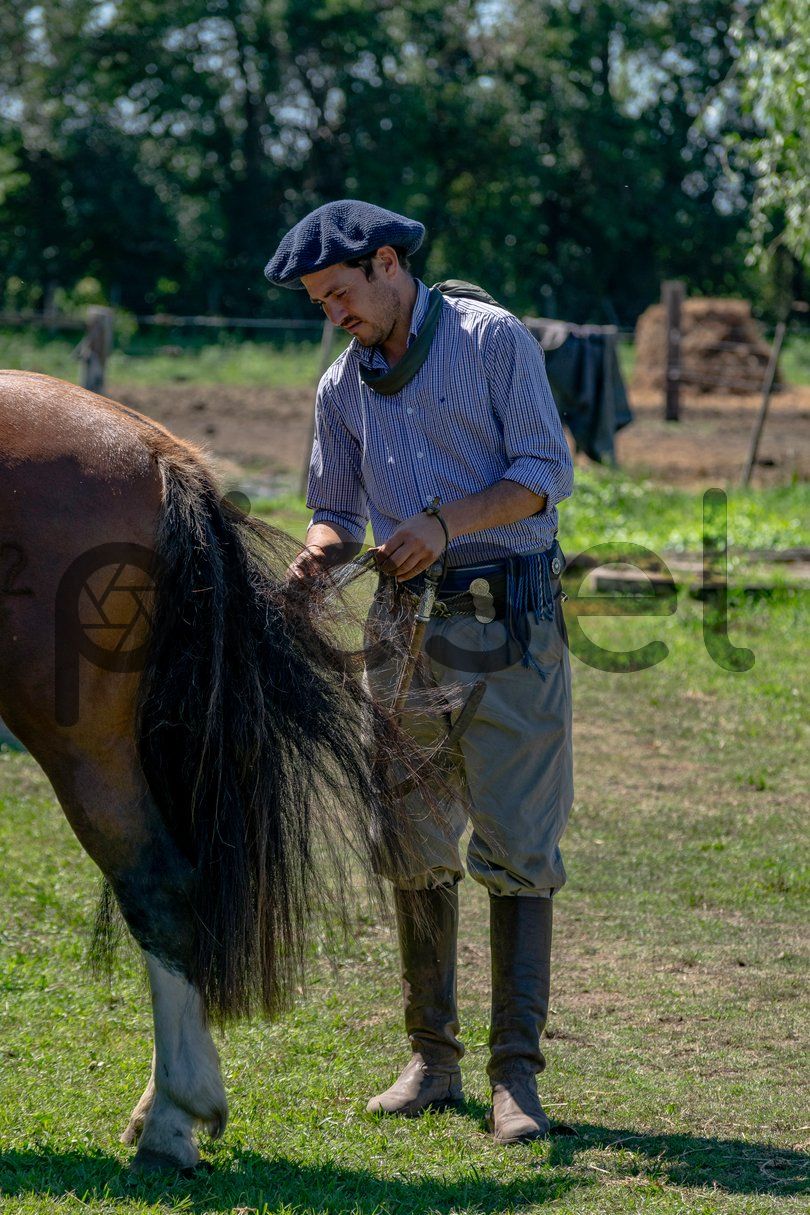 Photo of cja0wyntfvm3wjnn3ksb5v26