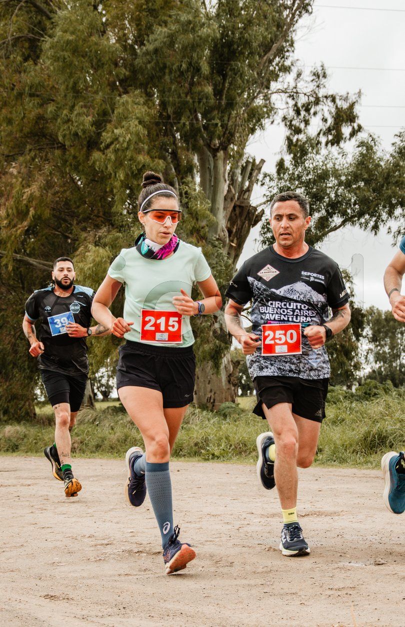 Photo of d99sj4c8avv8qvdbukj9vjfz