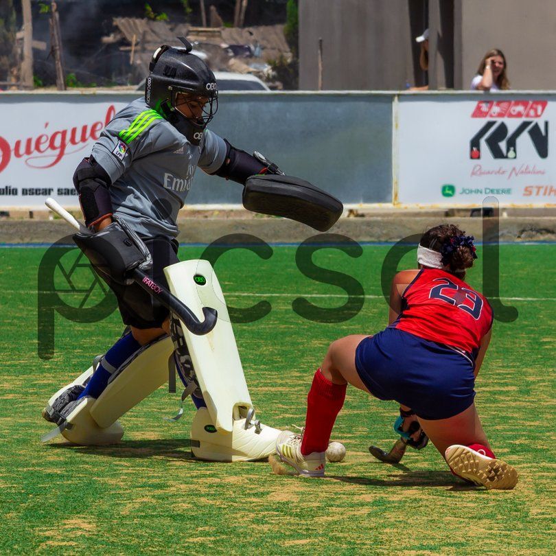 Photo of v6qtusi9ic4wpd1fl4tlorek