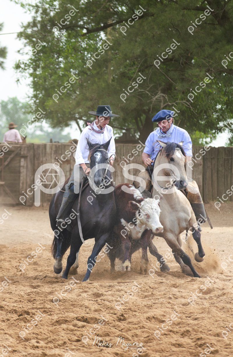 Photo of x9gnug261h9qneegbua7vpy4