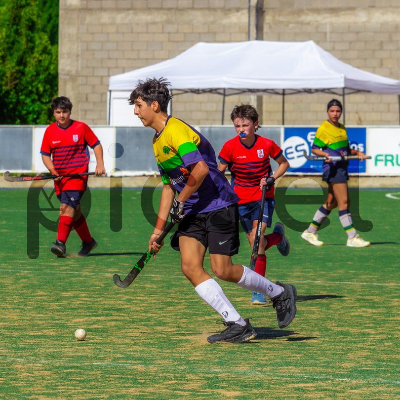 Photo of c342eo0pkol7d3v4rhiu3z3f