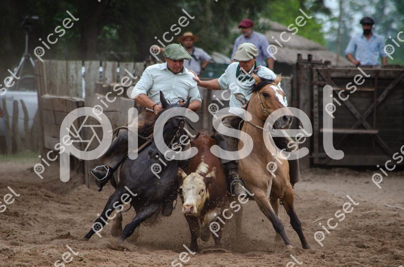 Photo of vq6iu8fknhcpkitfvepude65